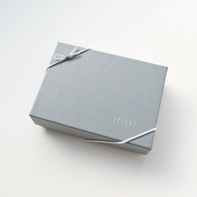 ichi ピアス -フロスト-