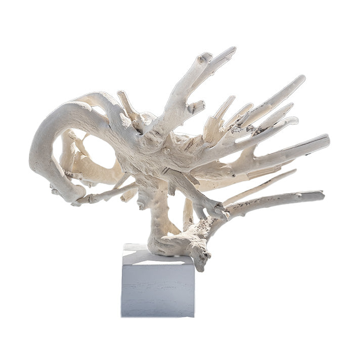 アート – TOKYO WHITE